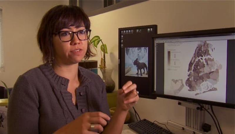 Mapping every street tree in New York City