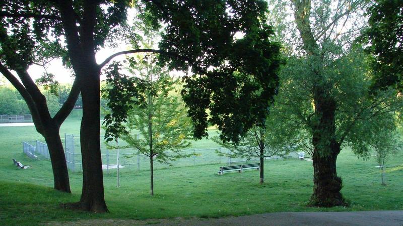 IN-PERSON hangout at Bickford Park