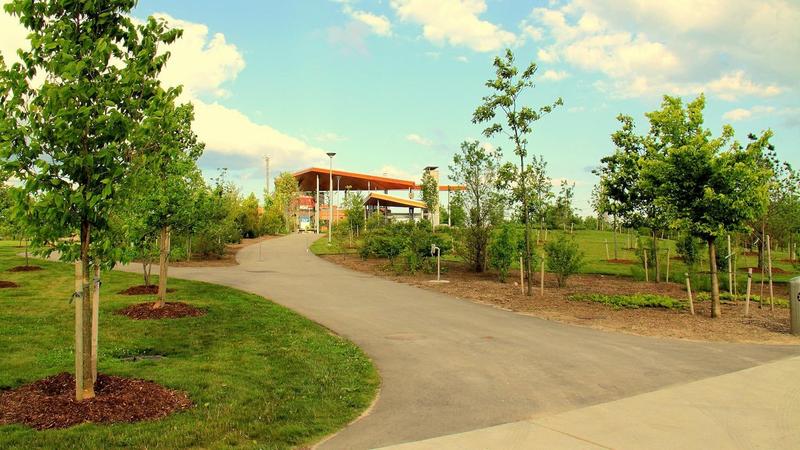 IN-PERSON hangout at Corktown Common