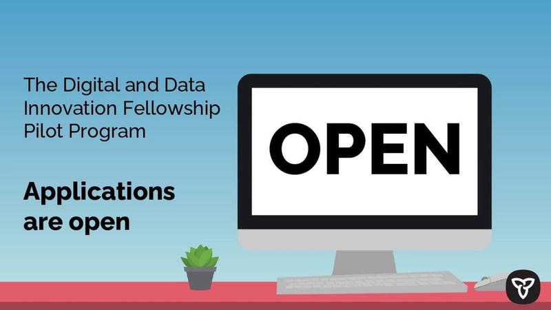 Ontario’s Digital and Data Innovation Fellowship
